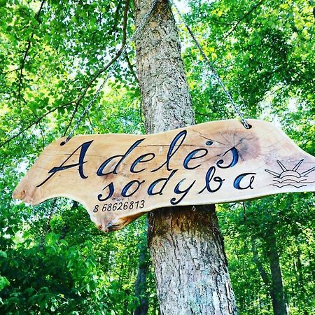 Adeles Sodyba Sturmai 外观 照片